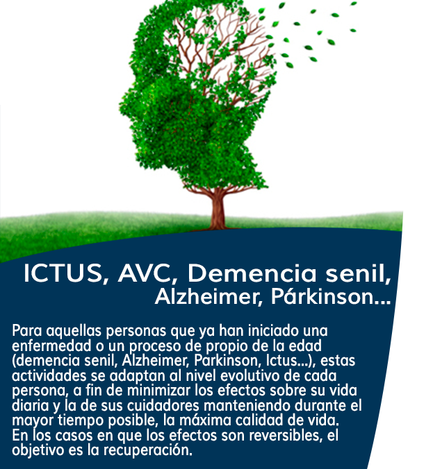 SolucioneAlzheimer